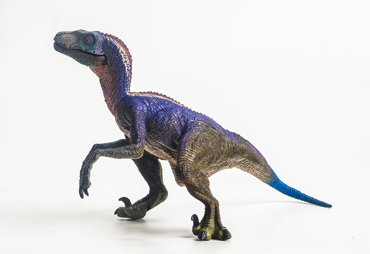 ヴェロキラプトル